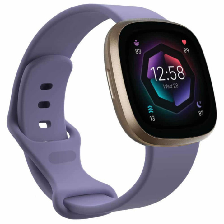 Sport armbånd till Fitbit Sense - Fiolett